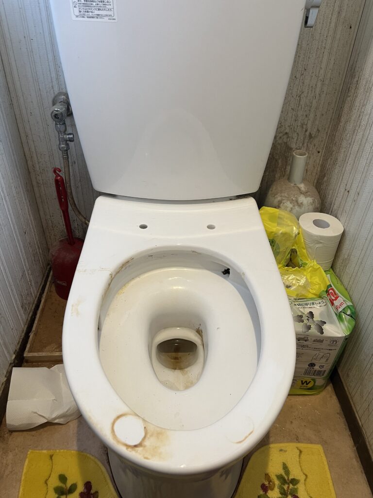 出来る限りは掃除をしました。