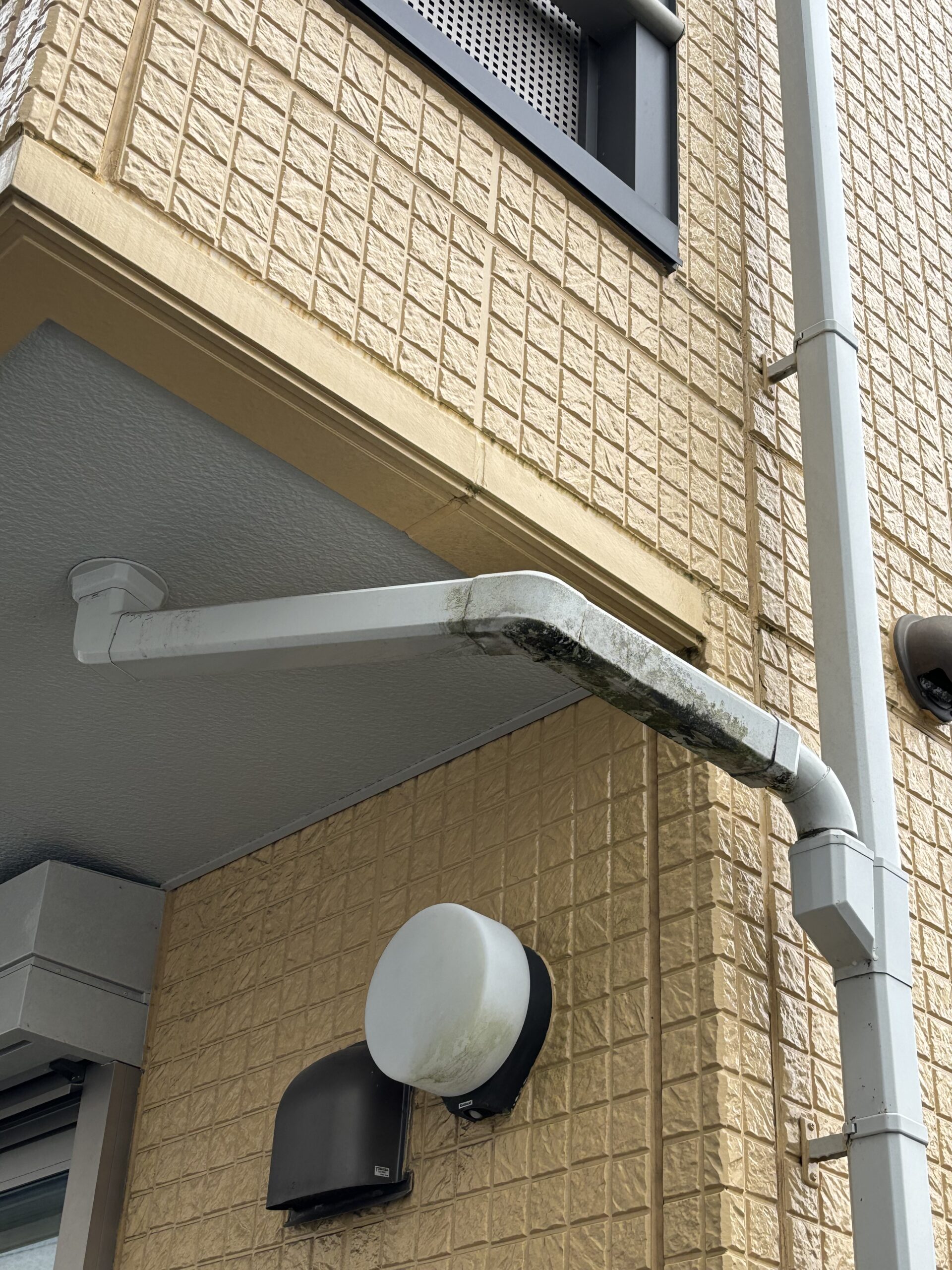 水戸市南町で雨樋の水漏れの調査をしました